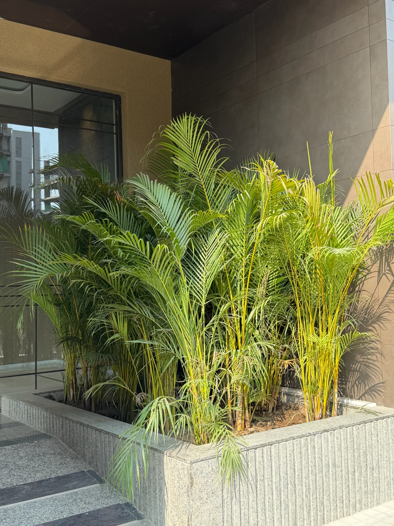 Corporate garden maintenance
